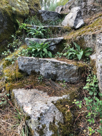 Os Chancís (3)