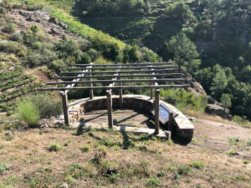 Os Chancís (5)