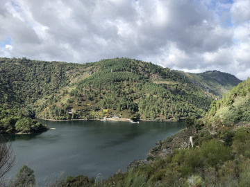 IMG_8429.jpg