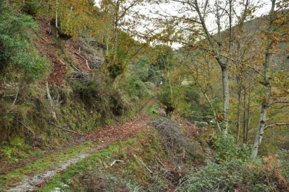PR-G 187 Camiño do ferradal (3)