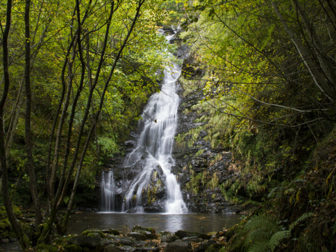 Fervenza do Fócaro