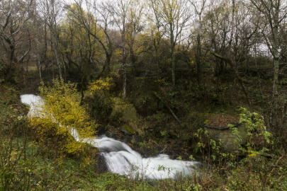 Fervenza das Gurbias - Quiroga (0)