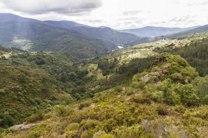 Castro de Penadominga (1)