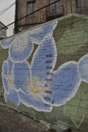Mural Reforestando Verónica Persica, Verónica dos Prados (0)