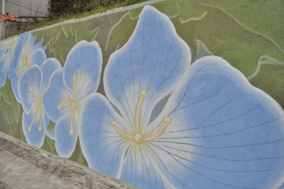 Mural Reforestando Verónica Persica, Verónica dos Prados (2)
