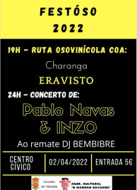 Festival Festóso 2022.jpg