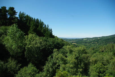 IMGP1767.JPG