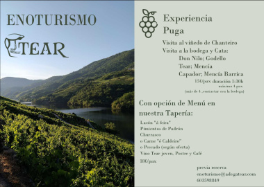 Adega Tear (9).jpg