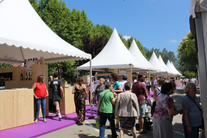 Festival del vino Ribeira Sacra