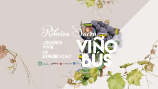 Viñobús Vendimia 2022
