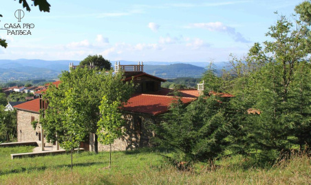 pro pantea (1)