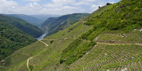 Ruta Cicloturista do Concello de Monforte de Lemos (1)