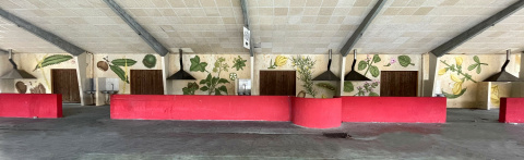 Mural Bóveda_Doa Oa (0)