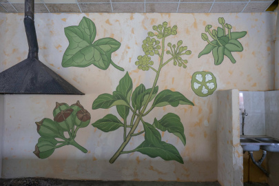 Mural Doa Bóveda (1).jpg