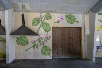 Mural Doa Bóveda (3).jpg