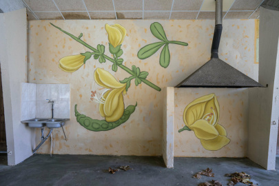 Mural Doa Bóveda (4).jpg