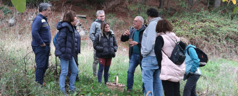 Cestas y al bosque 13.11 (16).jpeg