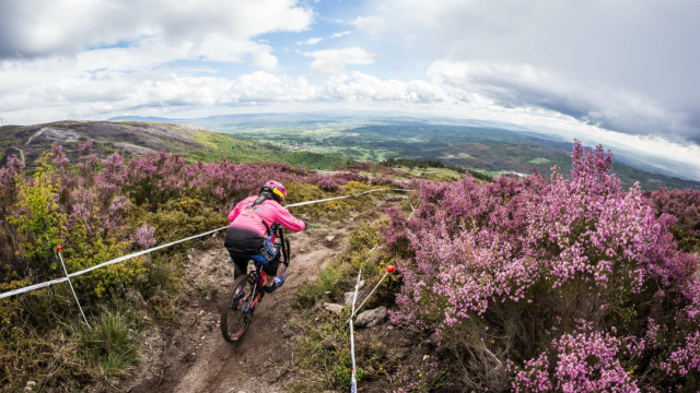 Circuito DH - Xunqueira de Espadanedo