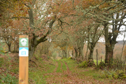 Ruta 2 - TRC (1)
