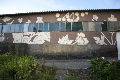 Mural 