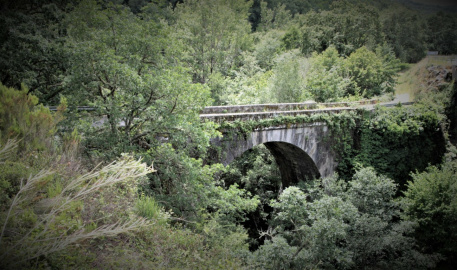 Ponte Piago (2).JPG