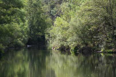Área de O Caneiro (0)