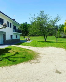 Finca Bacelo (6).jpeg
