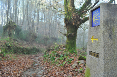 Belesar - Camiño de Inverno.JPG