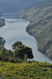 Río Sil.JPG