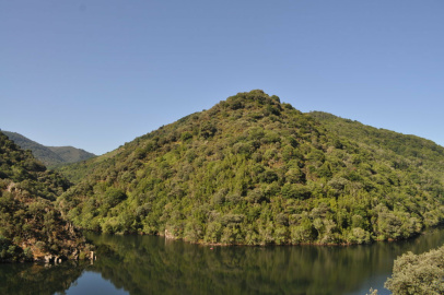 Desembocadura Edo - Pescador.JPG