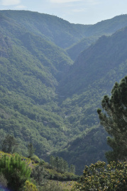 Cañon.JPG