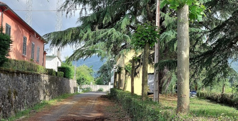 Fogar Cañón do Sil (Nogueira de Ramuín) (1)