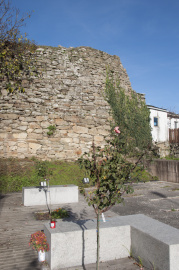 Muralla y Villa Medieval de Manzaneda (8)