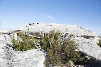 Campamento Romano Penedos de Lobo (4)