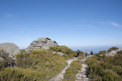 Campamento Romano Penedos de Lobo (0)