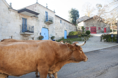 Pazo da Pena (2)
