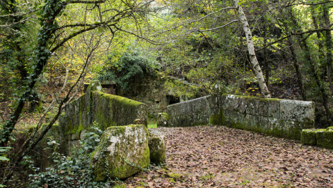 Puente Cabalar (3)