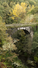 Puente Piago (2)