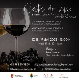 Cata de Vino Castelo de Castro Caldelas