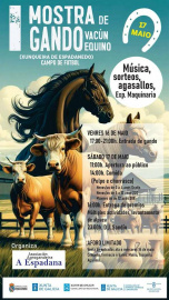 Mostra Ganado Vacún e Equino Xunqueira de Espadanedo 2025.jpg