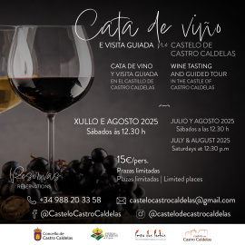 cartel cata viños castelo verán 2025.jpg