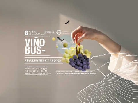 Viñobús Vendimia 2025