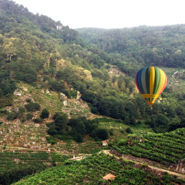Globos Boreal (2).jpg