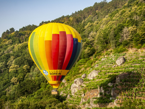Globos Boreal