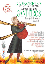 Concierto benéfico X. de Espadanedo.jpg