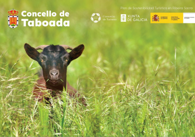 Trasera Taboada.jpg
