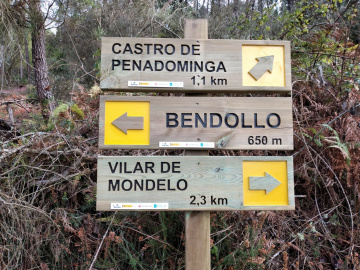 Actuación Penadominga.jpg