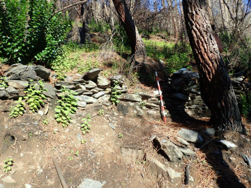 P9150918.JPG