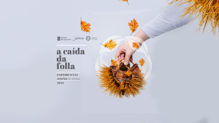A Caída da Folla 2025