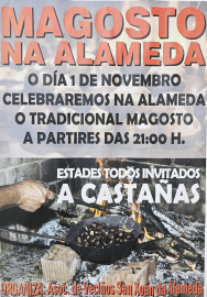 Magosto Alameda 2025 (Chantada).jpg